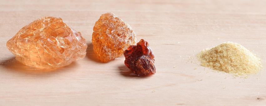 Pieces and powder of raw gum arabic. Stacked from 9 images with Zerene Stacker.