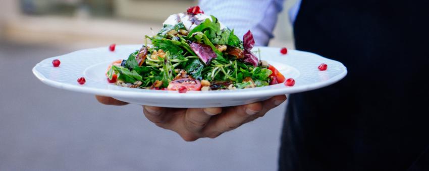 person holding a plate of salad