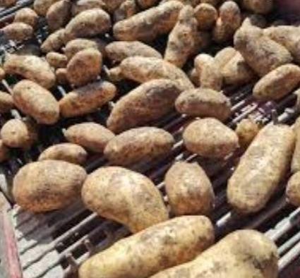 Sklithros potatoes