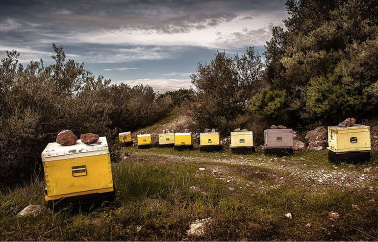 Greek bee hives