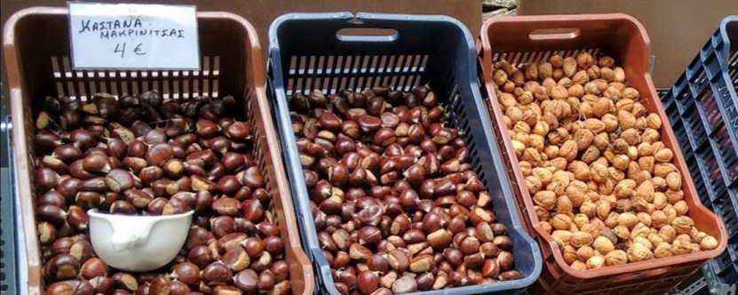 Pelion chestnuts