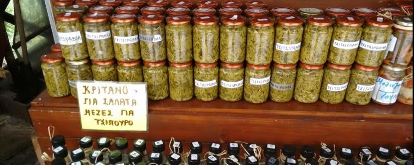 pickled tsitsiravla on the Pelion peninsula