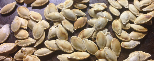 Roasted Pumpkin Seeds