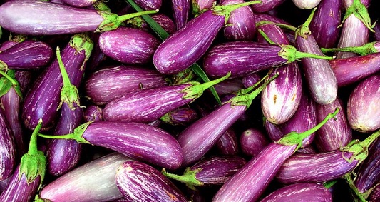 tsakonian eggplants from Leonidio