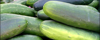 Cucumbers