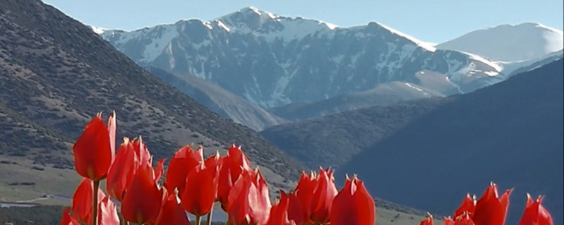 Falakro mountain - Greece