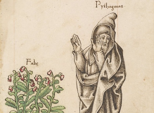 Pythagoras and the beans