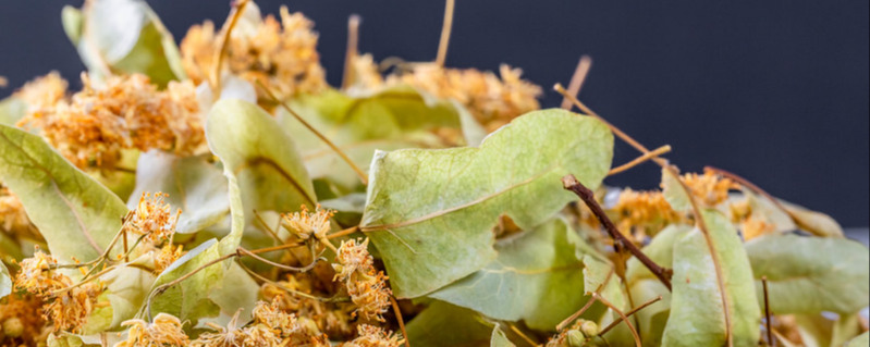 Dried Linden flowers for tea