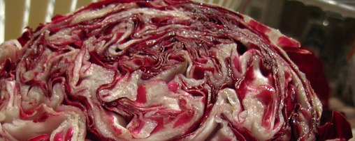 radicchio  di Chioggia