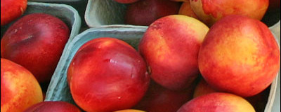 Nectarines