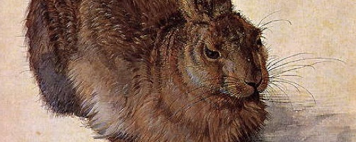 Albrecht Dürer, Young Hare