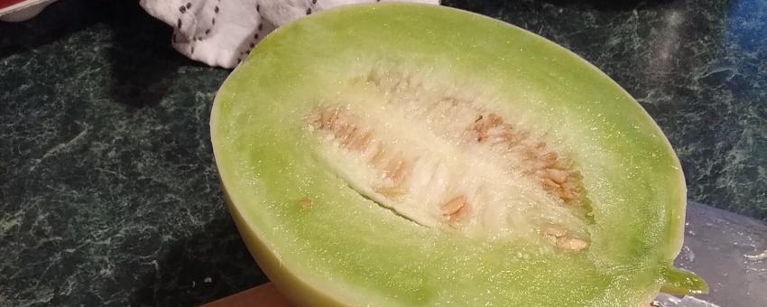 Ripe honeydew melon