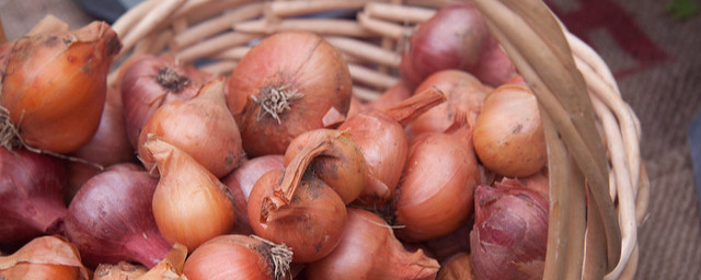 Shallots