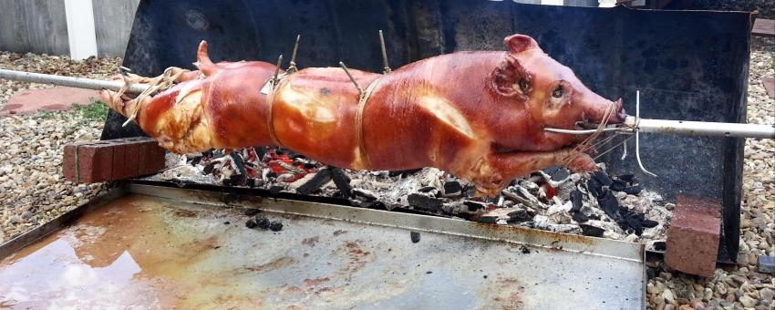 Pig roasting on a rotating spit in an American backyard.