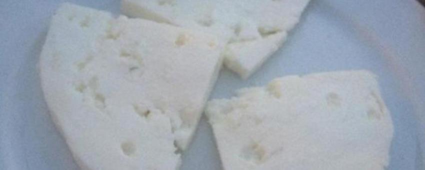 Chloro cheese