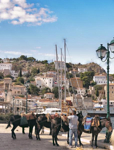 Donkeys are still the main way of transport on the island of Hydra.