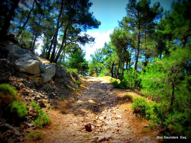 Off-road in Lesbos.