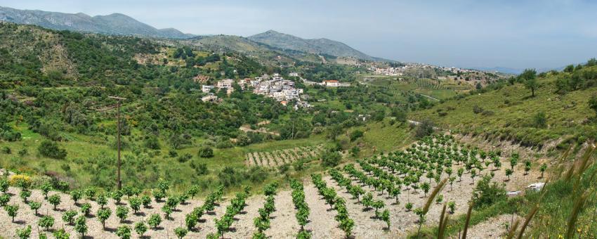 Around Zoniana, Crete, Greece. Panoramic view toward the neighbouring villages of Krana and Livadia.
