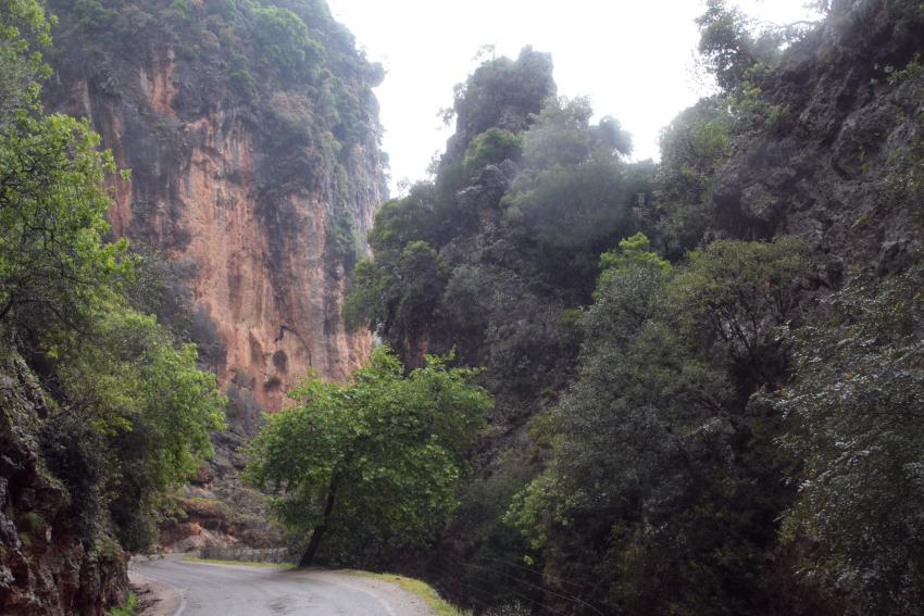 Theriso gorge, Crete