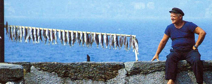 Drying Thwaite Shad