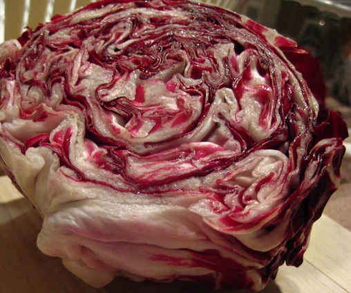 radicchio di Chioggia radicchio di Chioggia