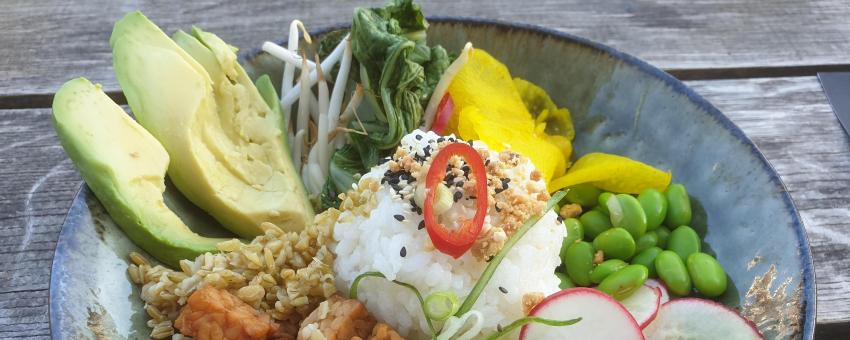 Picture of a Buddha Bowl as ordered in a restaurant (Lot &amp; De Walvis, Leiden)