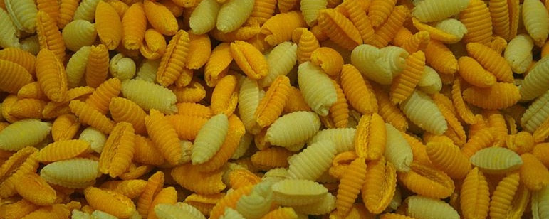 gnocchetti