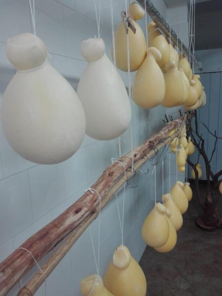 Caciocavallo di Ciminà (2020)
Presidio slowfood