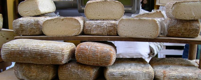 Cheeses Cheeses