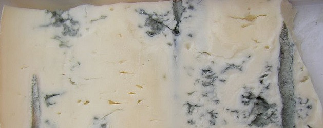 gorgonzola close up