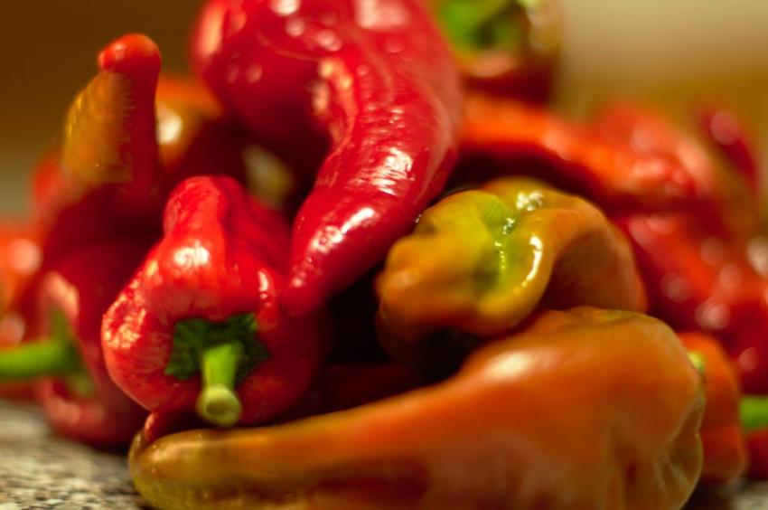 Peperoni di Senise IGP