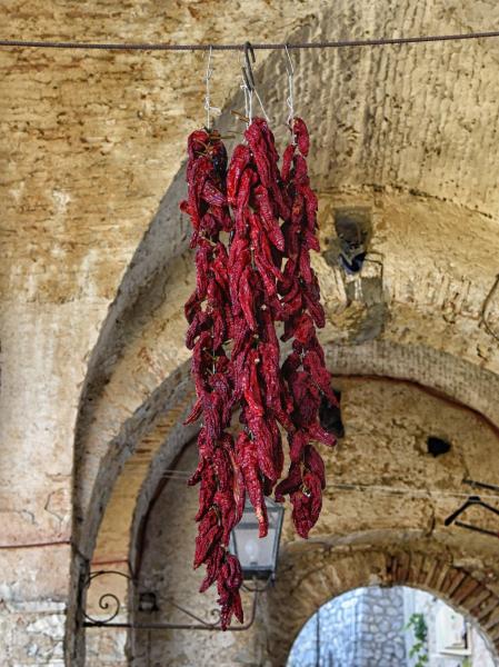 Lamie di Bitonte: archi a volta in pietra di origine seicentesca, che sorgono sotto il calpestio del palazzo della famiglia Bitonte.