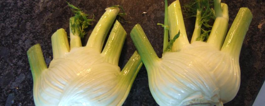 Fenouil - Fennel