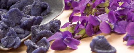 candied violets