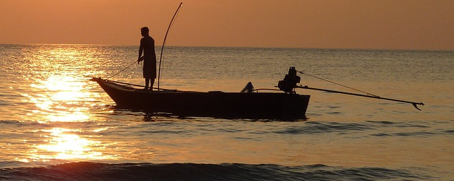 Fishing at sunset