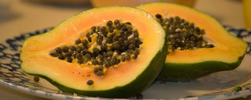 Papaya