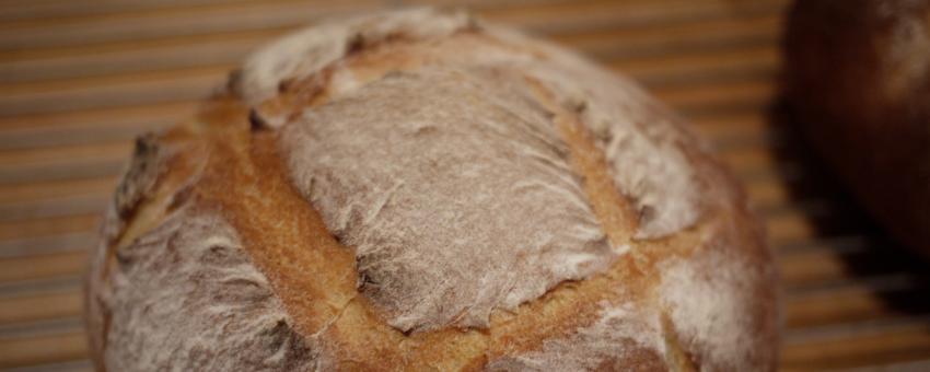 Tuscan Bread - Out of the oven