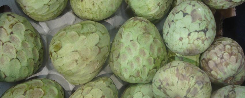Chirimoya (Annona Cherimola Mill). Fruta.