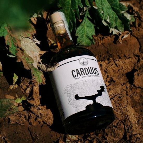Carduus