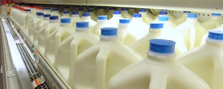 cold milk cold milk