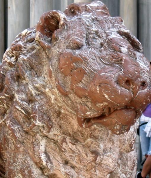 Lion in Piazzetta dei Leoncini Lion in Piazzetta dei Leoncini
