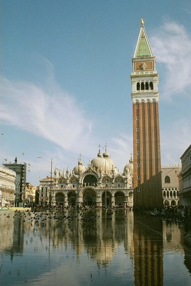 Basilica reflected in an acqua alta Basilica reflected in an acqua alta