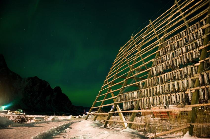 Fish drying in Norway